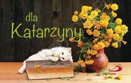 dla-katarzyny-serria-imiona_517e204e94144_productmain[1].jpg